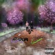 S I S EP