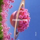 Fossilized
