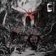 Purgatorio