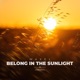 Belong In the Sunlight Single
