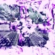 Sidewalk feat Jonoftf Single