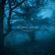 North Wind Single