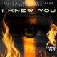 I Knew You feat Robert Owens Single