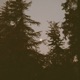 just before dawn Single