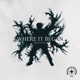 Where It Began Single