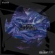 The Future Rave Forever Remix Single