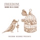 Bird in a Cage Single