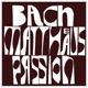 Bach Matthäus Passion 2021 Remastered Version