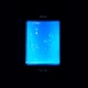 NEON Single