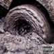 DIRT