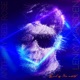 End of The World Single