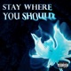 Stay Where You Should feat Basaa Single