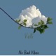 No Bad Vibes Single