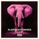 Eléphants Roses Single