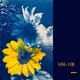 Song For Single