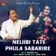 Neijibi Tate Phula Sabarire Single