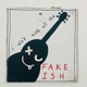 Fake Ish Single