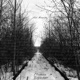 Lost Memories feat mattison Single