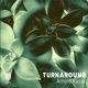 Turnaround Single