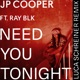 Need You Tonight feat RAY BLK Luca Schreiner Remix Single