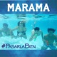 Pasarla Bien Single