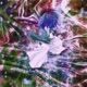 hiten mitsurugi Single