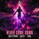 Never Come Down Single