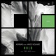Hold feat Aves Volare Single