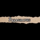 Paragraphs Single
