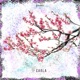 Carla Single
