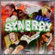 Synergy Single feat HELLMERRY Zjay Single