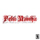 Pela Manhã Single