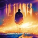 In Flames Single