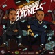 Government Badness feat Blutooth Single