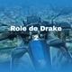 Role de Drake 2 Single