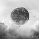 Transitions Single
