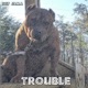 Trouble Single