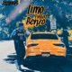 Limo Tinted Benzo Single