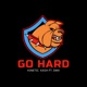 Go Hard feat DMX Single