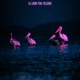 Birds in the Pond Single