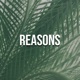 Reasons Single