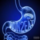 NUN2EAT Single