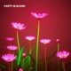 Party in Bloom Single