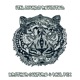 Ital Sounds Revisited Single