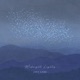 Midnight Lights Single