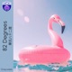 Eighty two Degrees Single