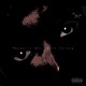 Parasite Avoidance Theory EP