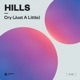 Cry Just A Little Single