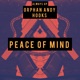 Peace of Mind feat Hooks Single