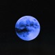 Moon Vector Single